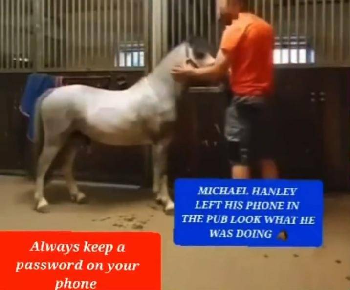 Michael Hanley Horse