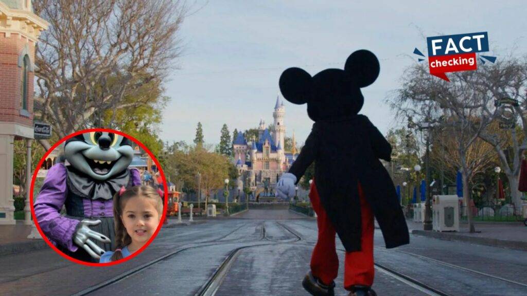 Nina Desaparecida En Disney California