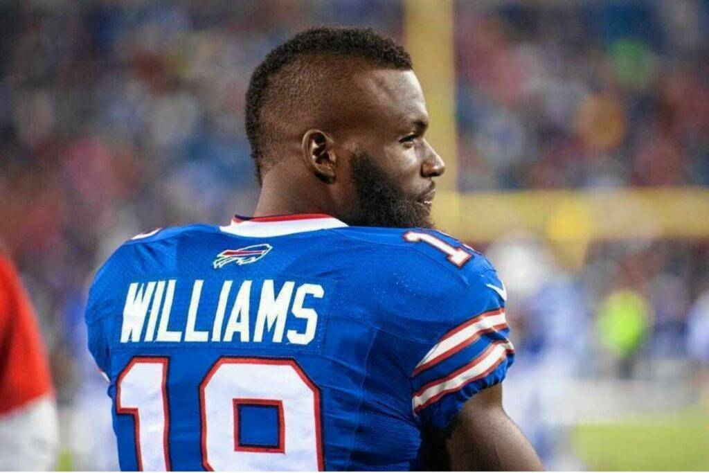 Mike Williams Net Worth