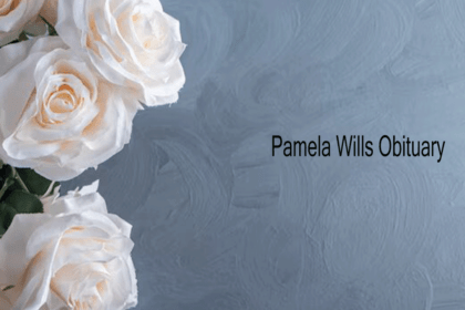 Pamela Wills What Happened