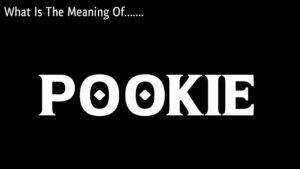 Pookie Slang Meaning: What Does Pookie Mean on TikTok? Know Pookie