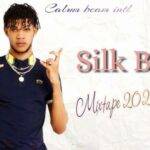 Silk Boss Missing Update