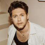 Who Is Niall Horan