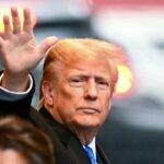 Trumps Real Net Worth Year