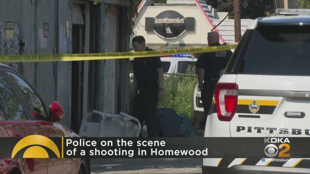 Shooting In Homewood