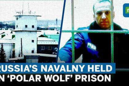 Arctic Circle Polar Wolf Prison