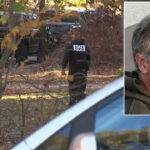Brad Larson Die