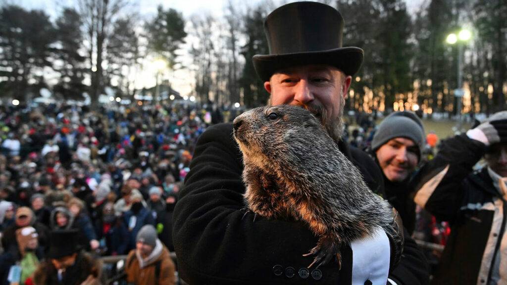 Groundhog See His Shadow