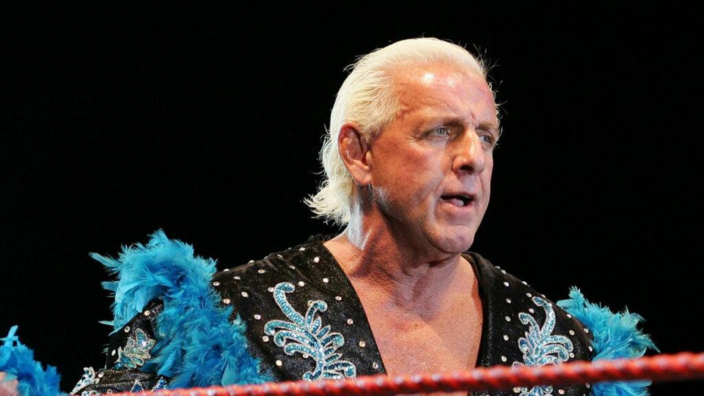 Ric Flair Net Worth Year