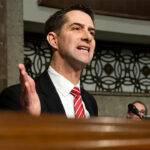 Tom Cotton
