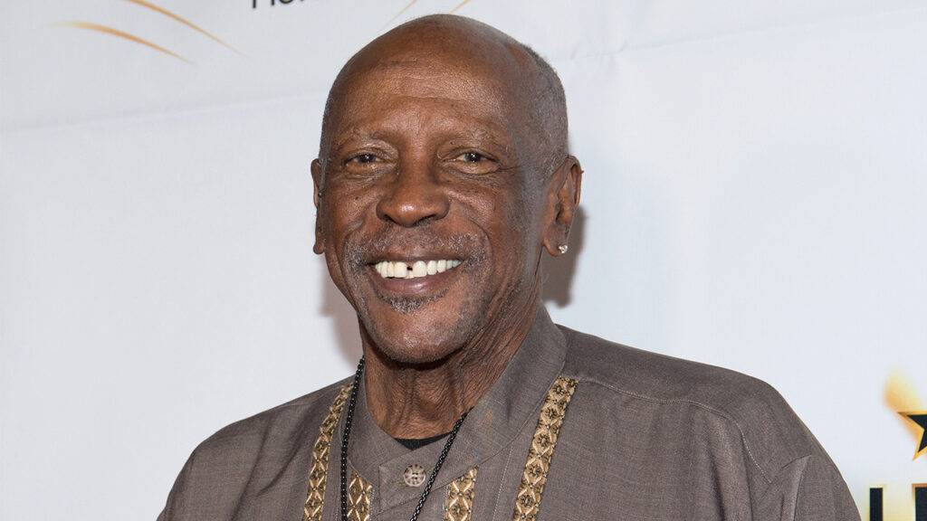 American Actor Louis Cameron Gossett Jr